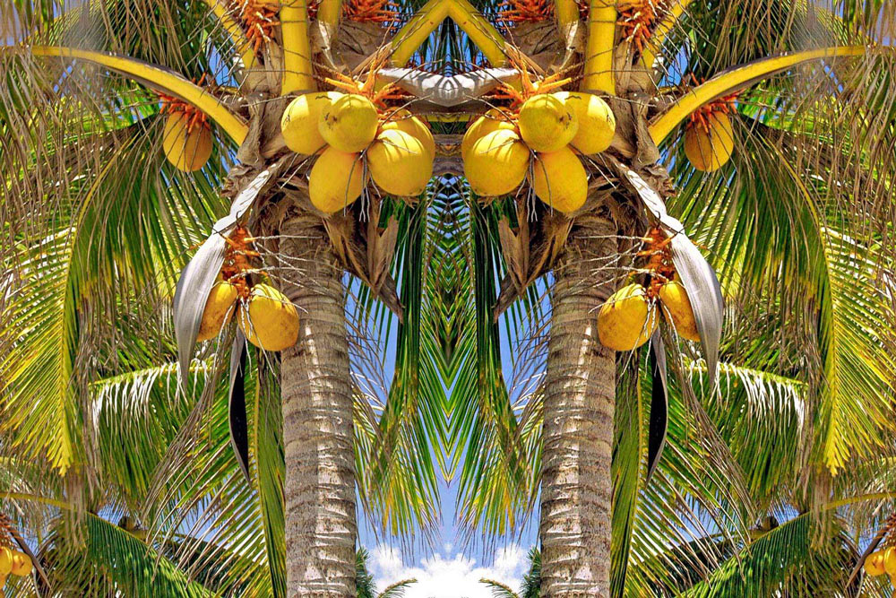 art_compare-jpg