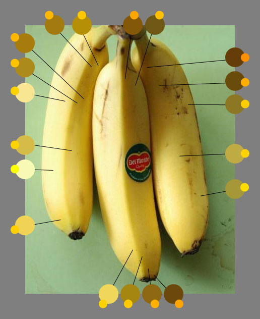 sat_banana-jpg