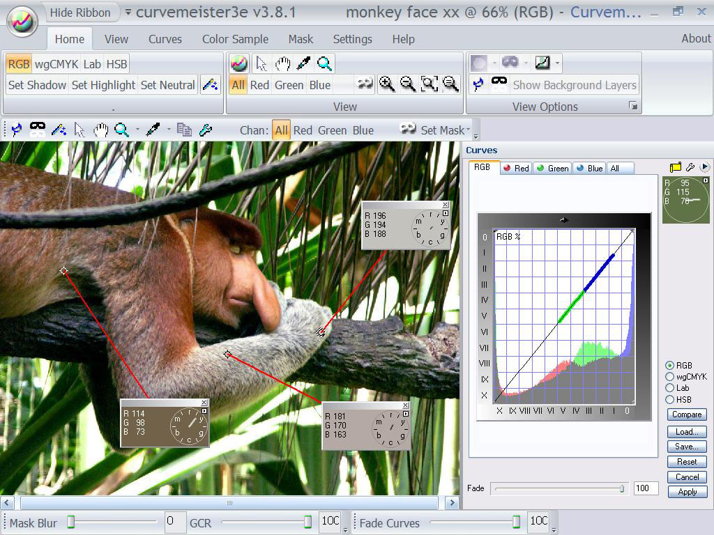 screen-shot-monkey-face-3xx-jpg