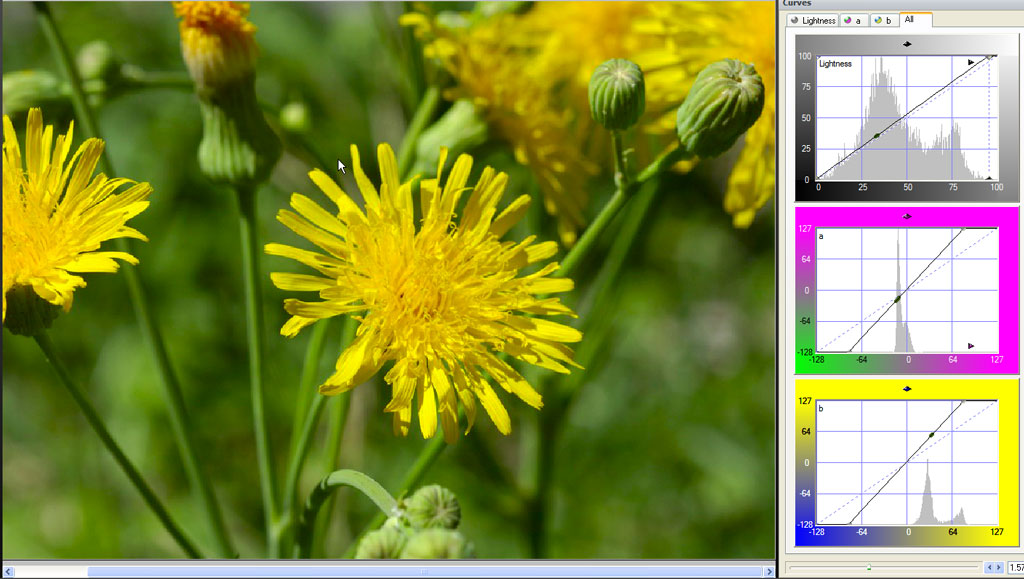 20101218_exampe5_labscreenshot2-jpg