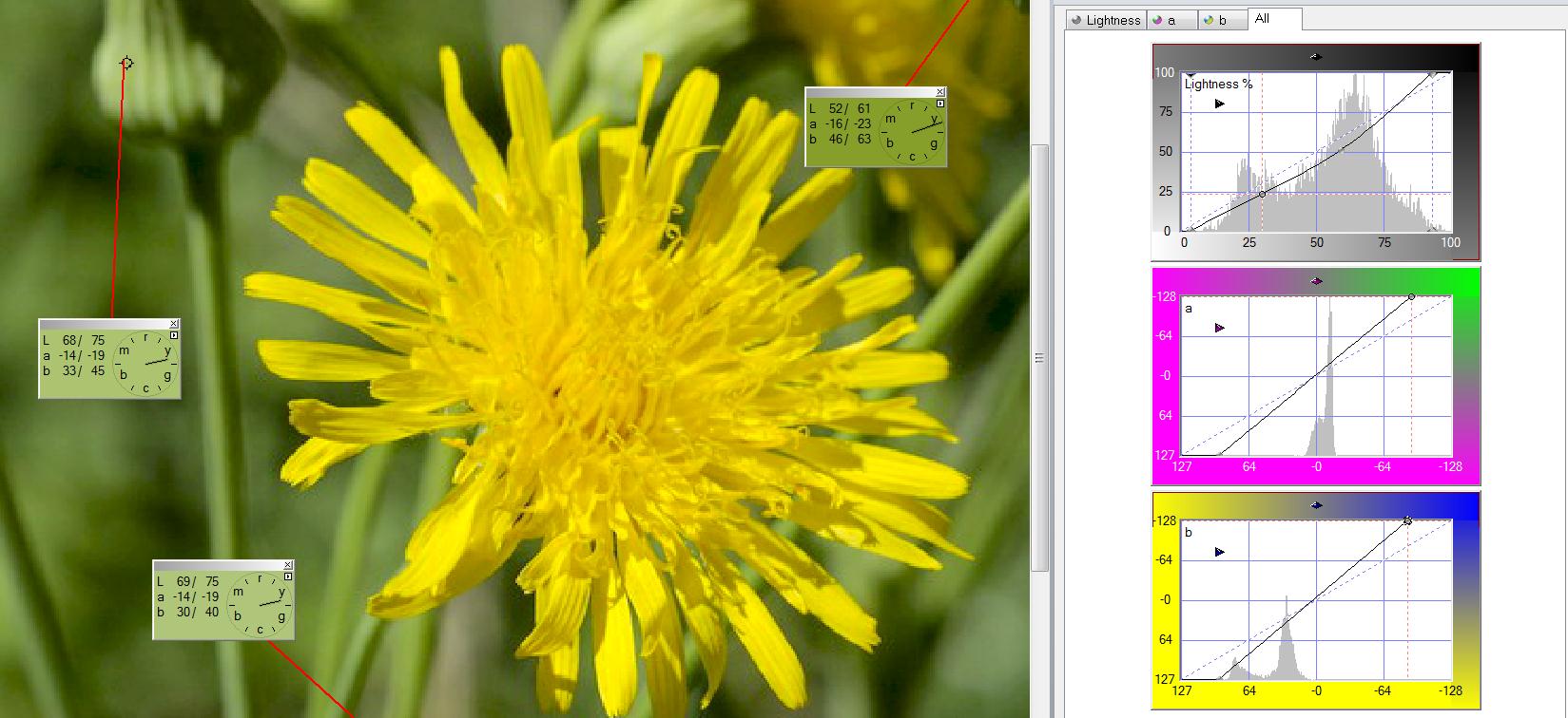 screenshot005-jpg-7