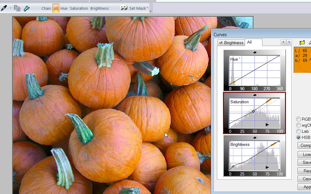 steve-pumpkin3-screen-jpg
