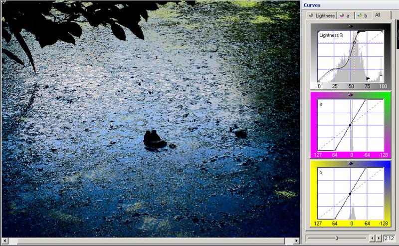 cmfrog_chris-takescreenshot-medium-jpg