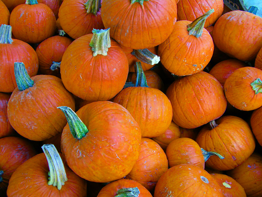 c1s2-example3-pumpkins-hsb-23-march-jpg