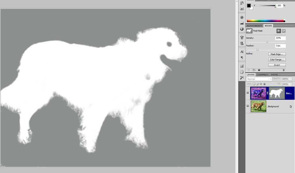 threeleggeddog-jpg