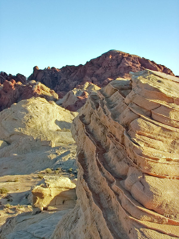 p6145534-1-jpg