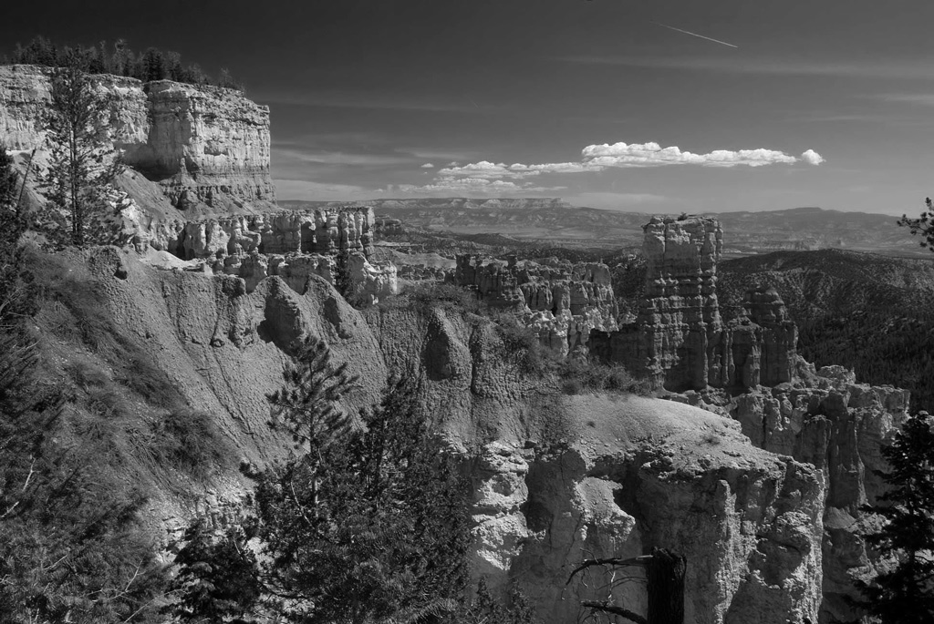 bryce-forweb-bw2-copyeplus-jpg