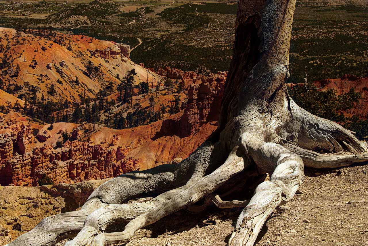 bryce-canyon-jpg