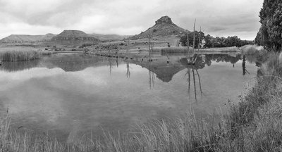 Ficksburg-damoriginal-bwjulie-Pano.jpg