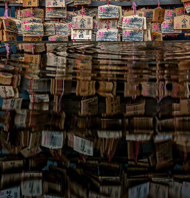 japan2018-1314-Edit tcrop3.jpg
