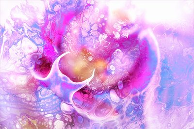 0005-CR---Fluid-Art-Orchid.jpg