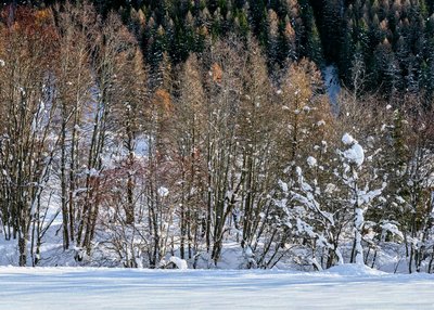 switzerland-396-Edit-Edit.jpg