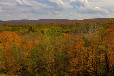 DSC_5881-1@0.3x.jpg
