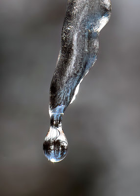 Droplet1-A.jpg