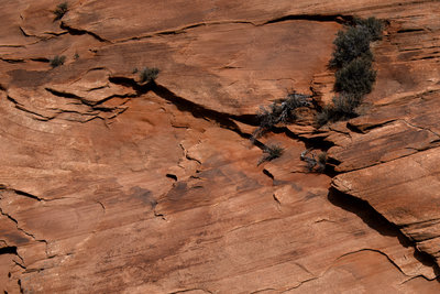 DSC_8053.jpg