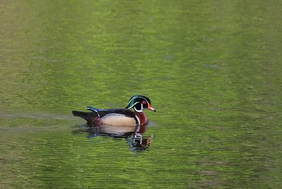 DSC_9246-Complete.jpg